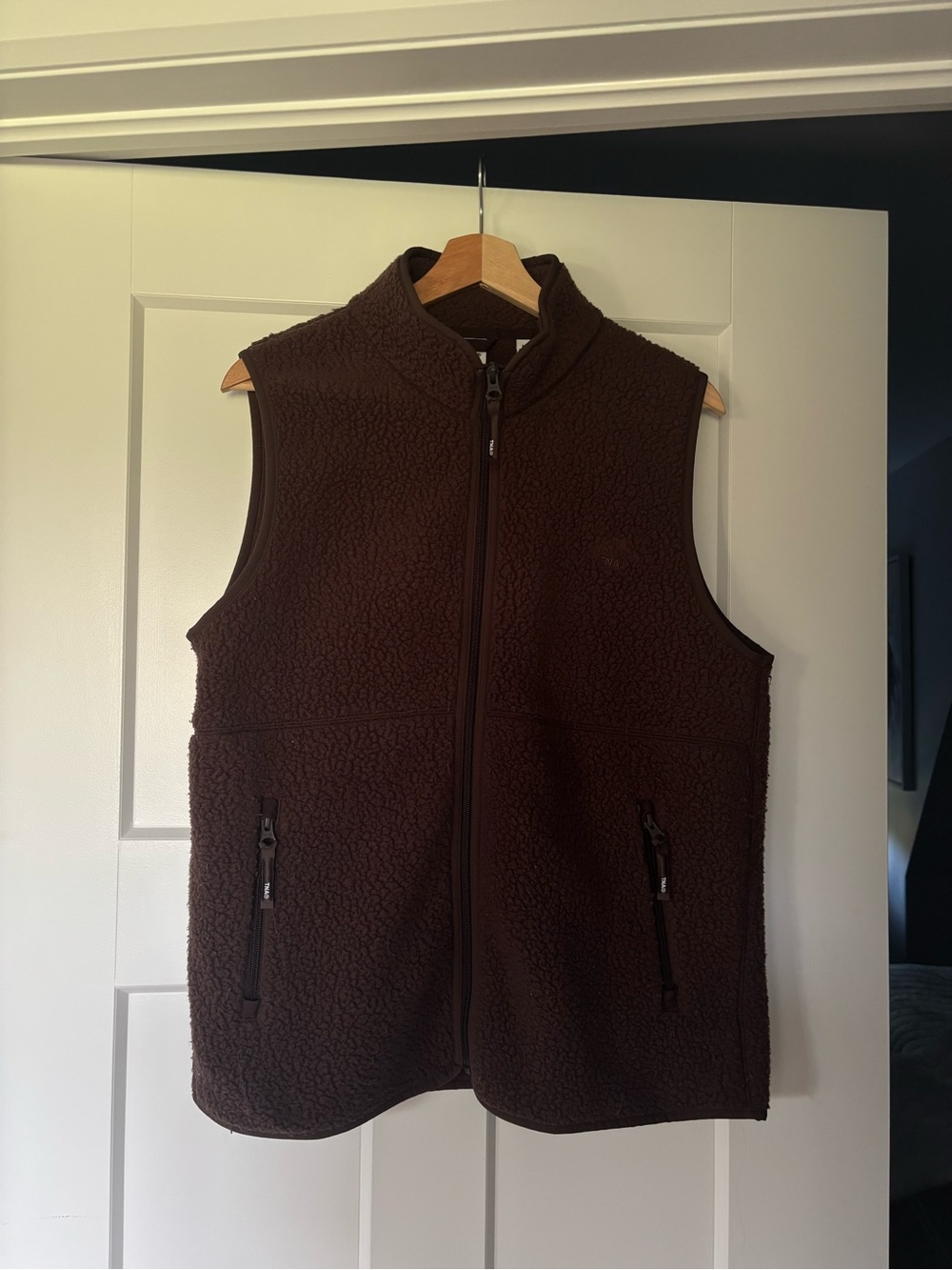 Aritzia Polartec Vest